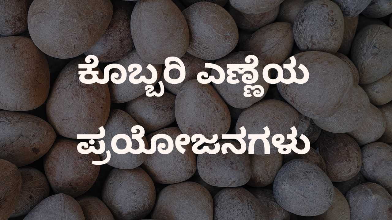 ಕೊಬ್ಬರಿ ಎಣ್ಣೆಯ ಪ್ರಯೋಜನಗಳು (Benefits of Coconut Oil)